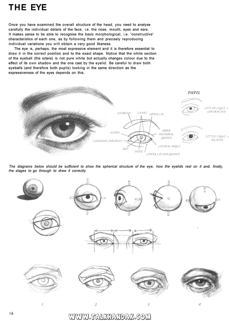 کتاب آموزش طراحی چهره