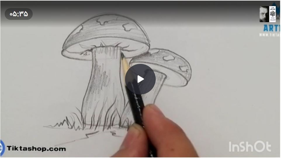 آموزش نقاشی قارچ
