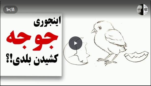 آموزش نقاشی جوجه