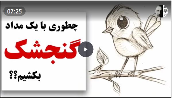 آموزش طراحی پرنده